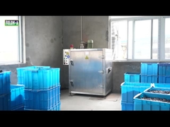 ยางโอริง